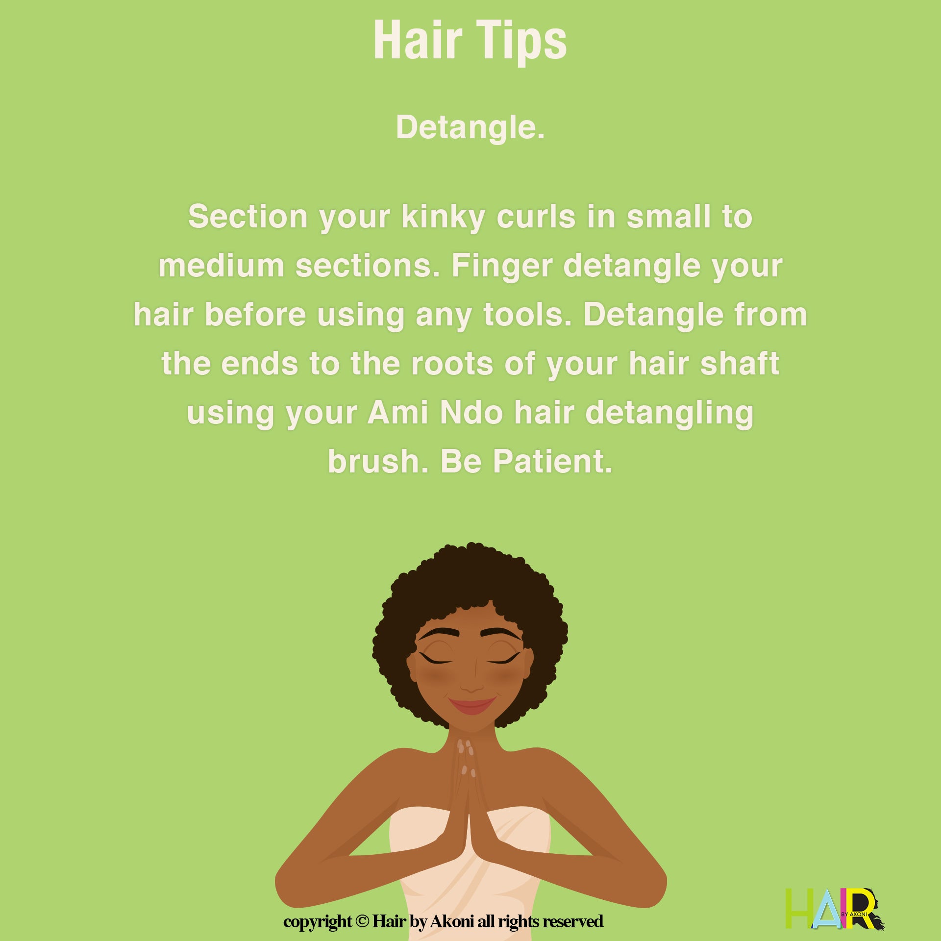 Detangle Your Hair – Hair By Akoni