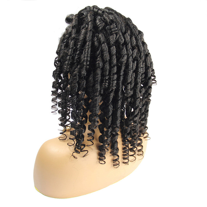 Spiral Curl Full Lace Wig - Hair By Akoni